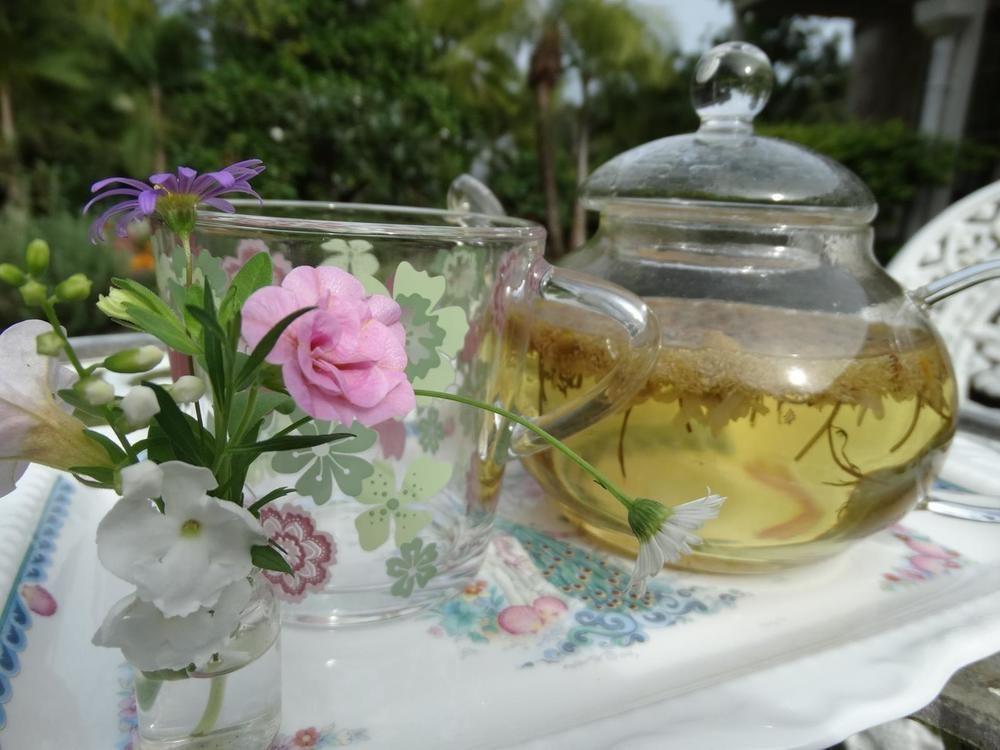 Noosa Valley Manor B&B Doonan Dış mekan fotoğraf