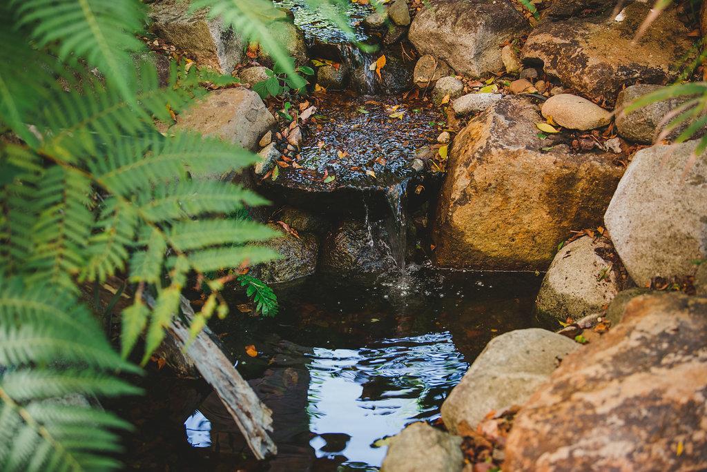 Noosa Valley Manor B&B Doonan Dış mekan fotoğraf