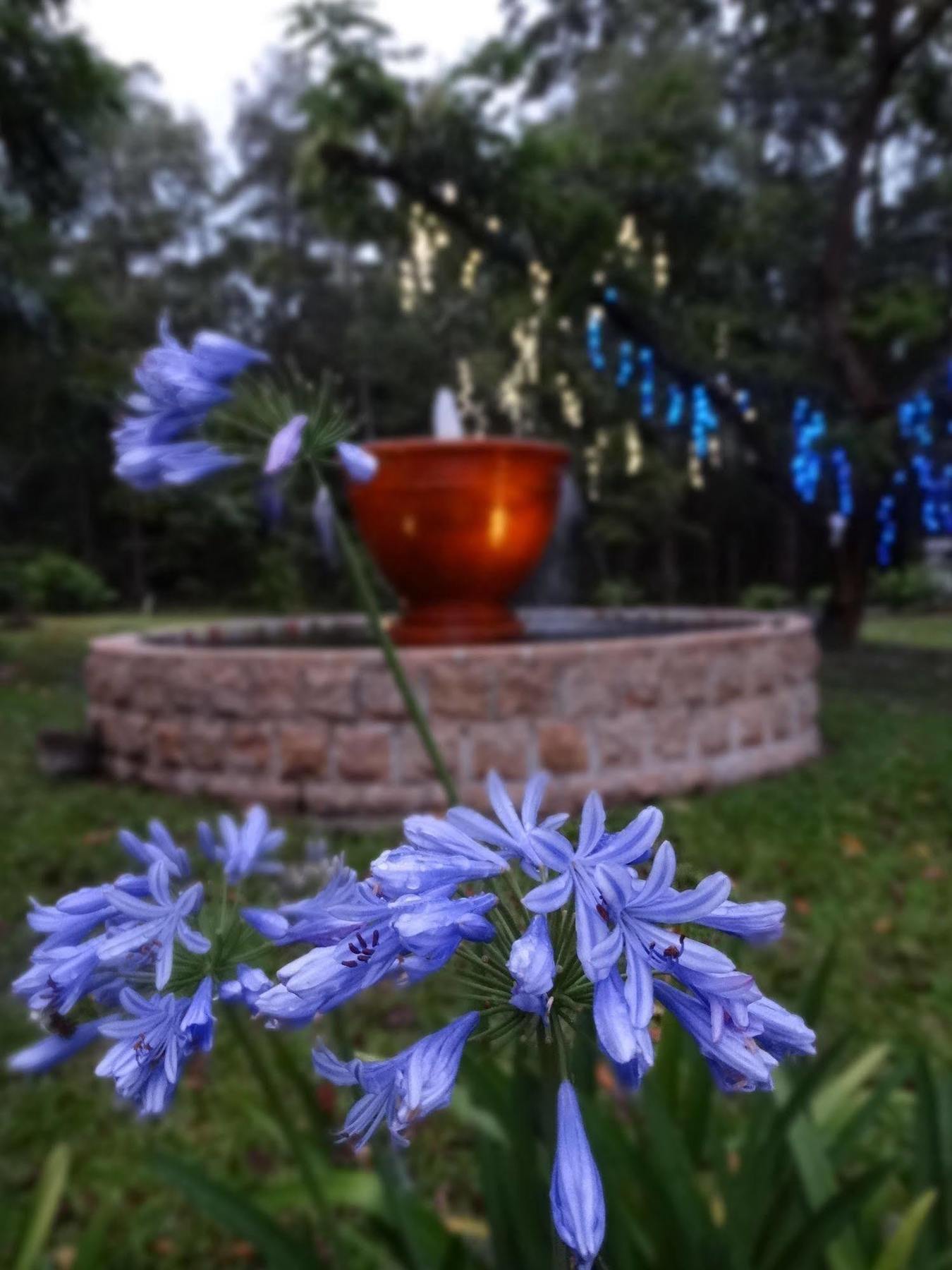 Noosa Valley Manor B&B Doonan Dış mekan fotoğraf