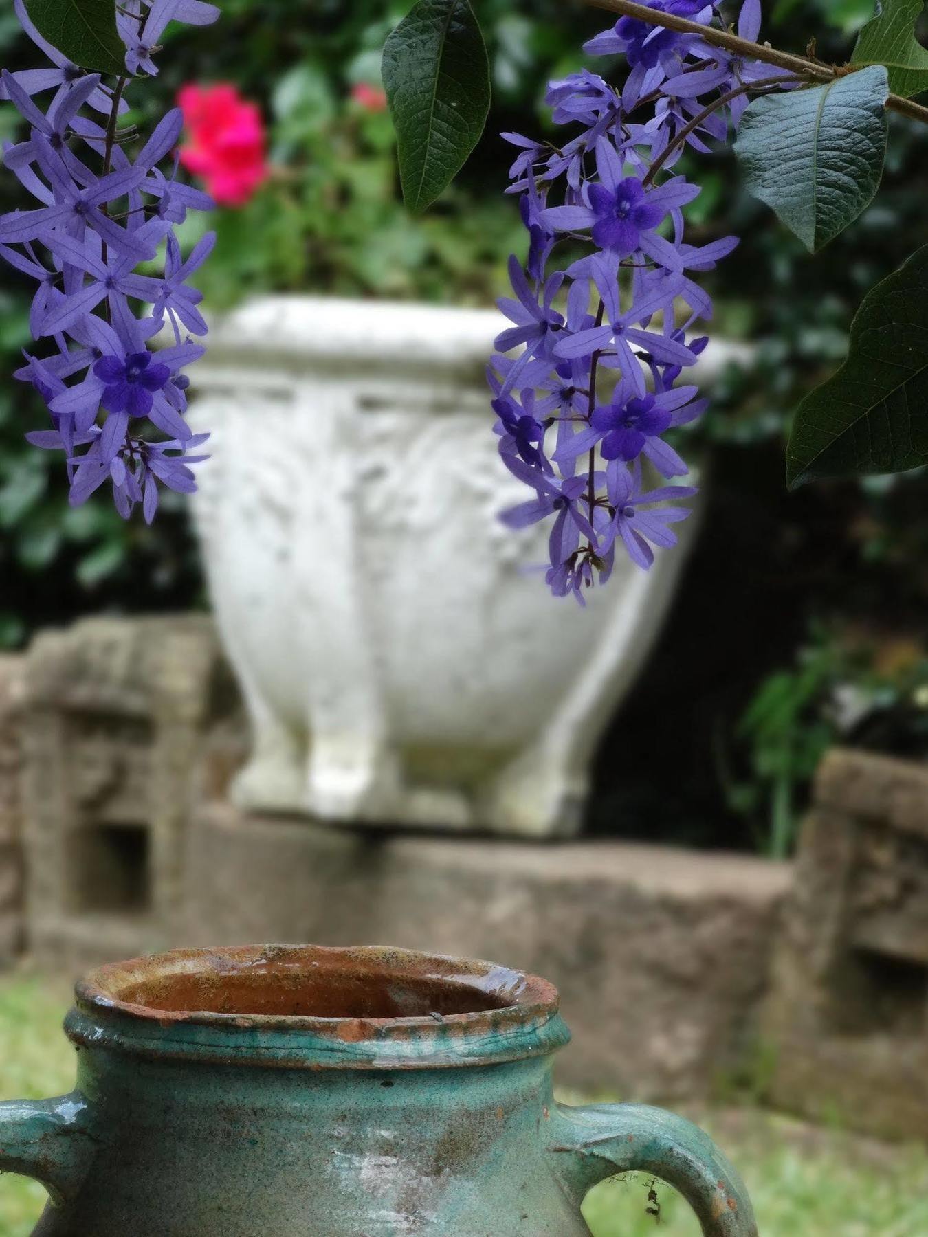 Noosa Valley Manor B&B Doonan Dış mekan fotoğraf